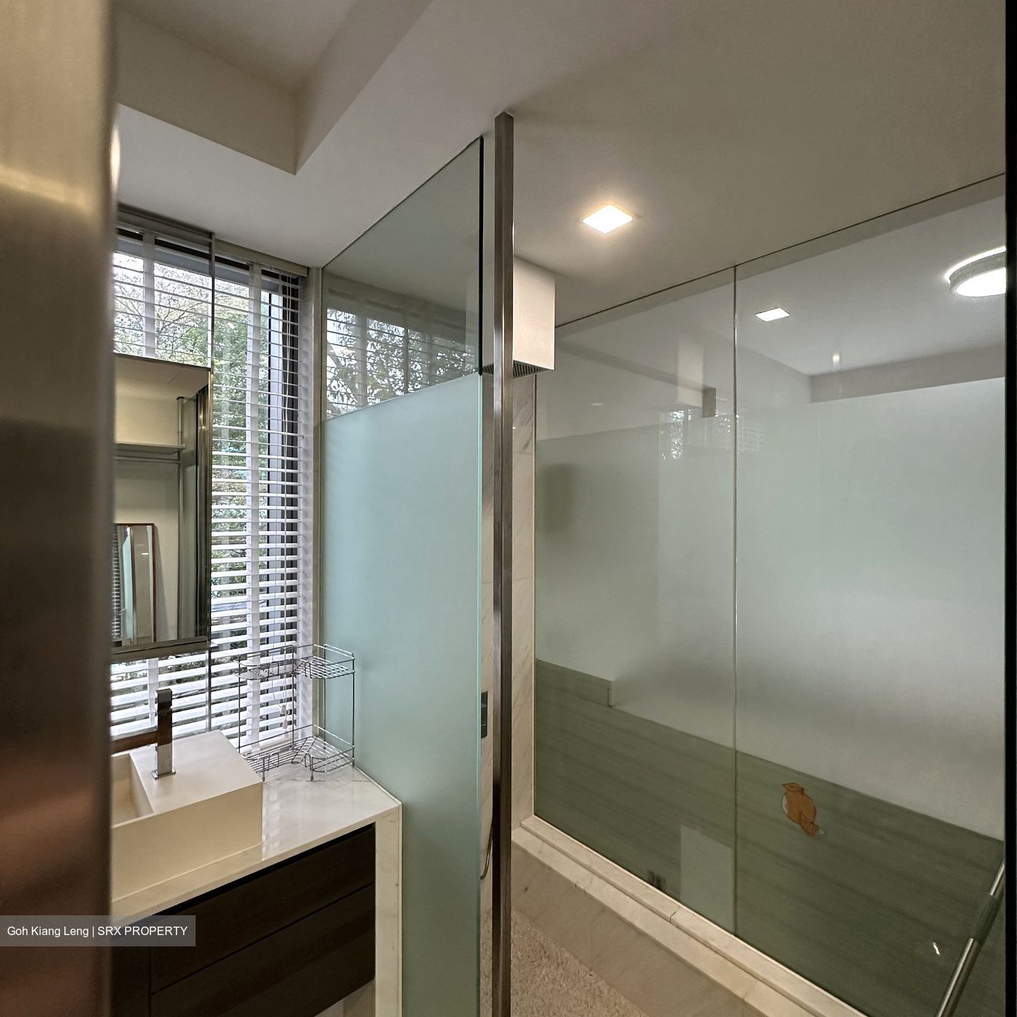 SilverSea (D15), Condominium #638489271